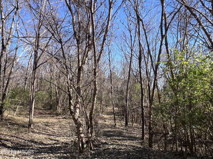 Property Photo:  Off Jefferson St  TN 37890 