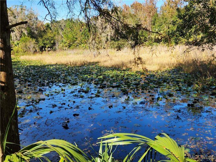 Property Photo:  13022 E Shawnee Trail  FL 34450 