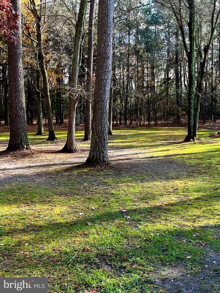 Property Photo: 30695 Foxchase Drive MD 21804