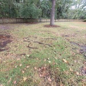 Property Photo:  2029 Beckton Street  SC 29420 