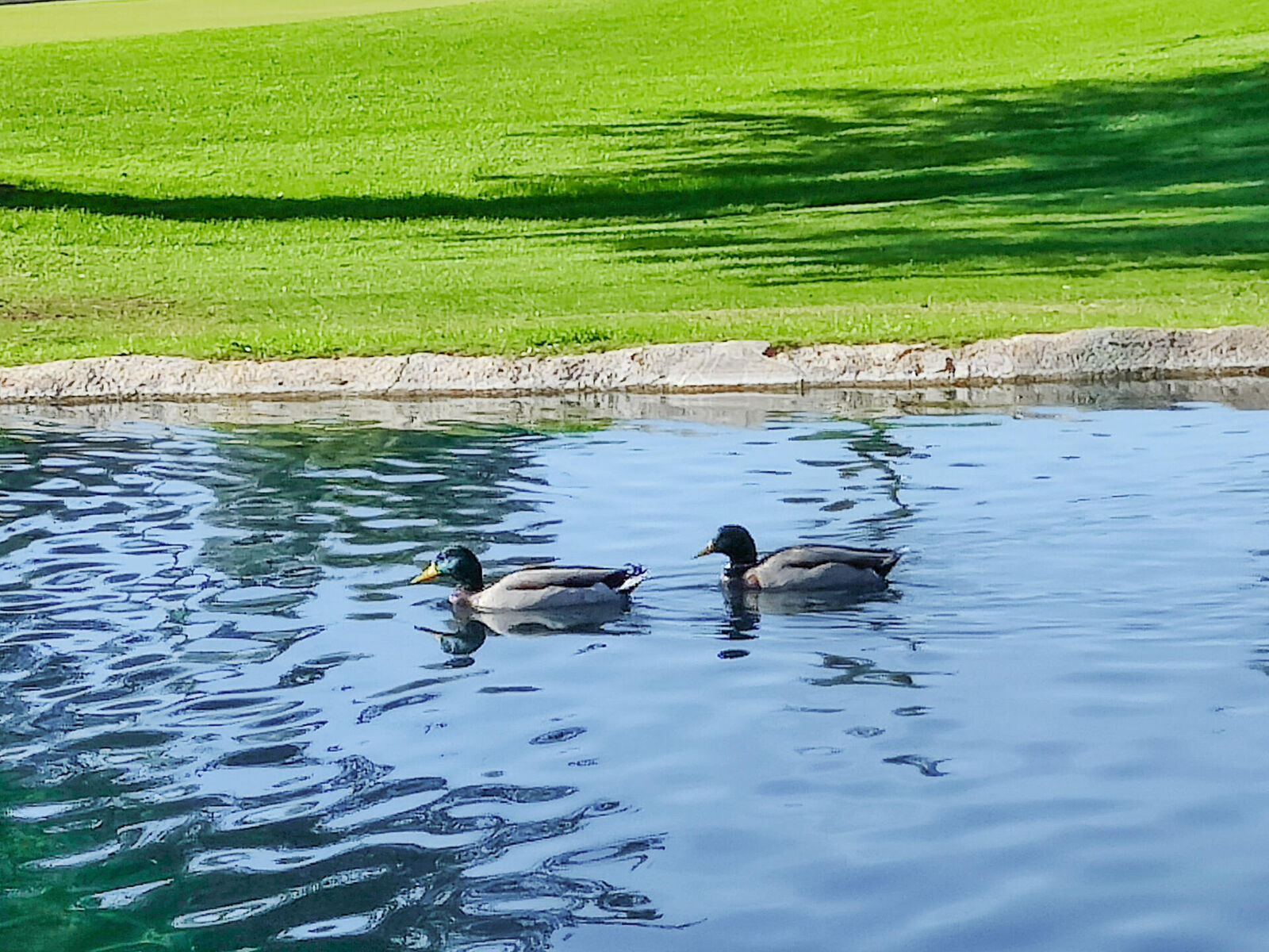 Property Photo: 49211 Douglas Street CA 92201