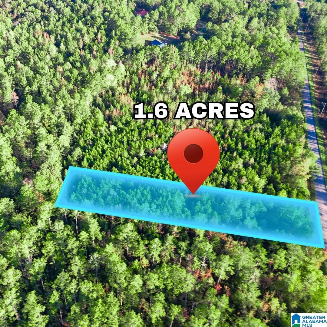 Property Photo:  Tract 3B County Road 329 Tract 3B  AL 36278 