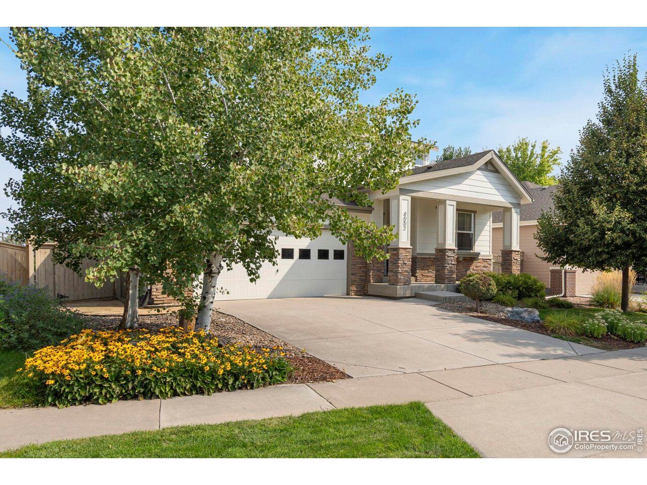 Property Photo:  4002 Wild Elm Way  CO 80528 