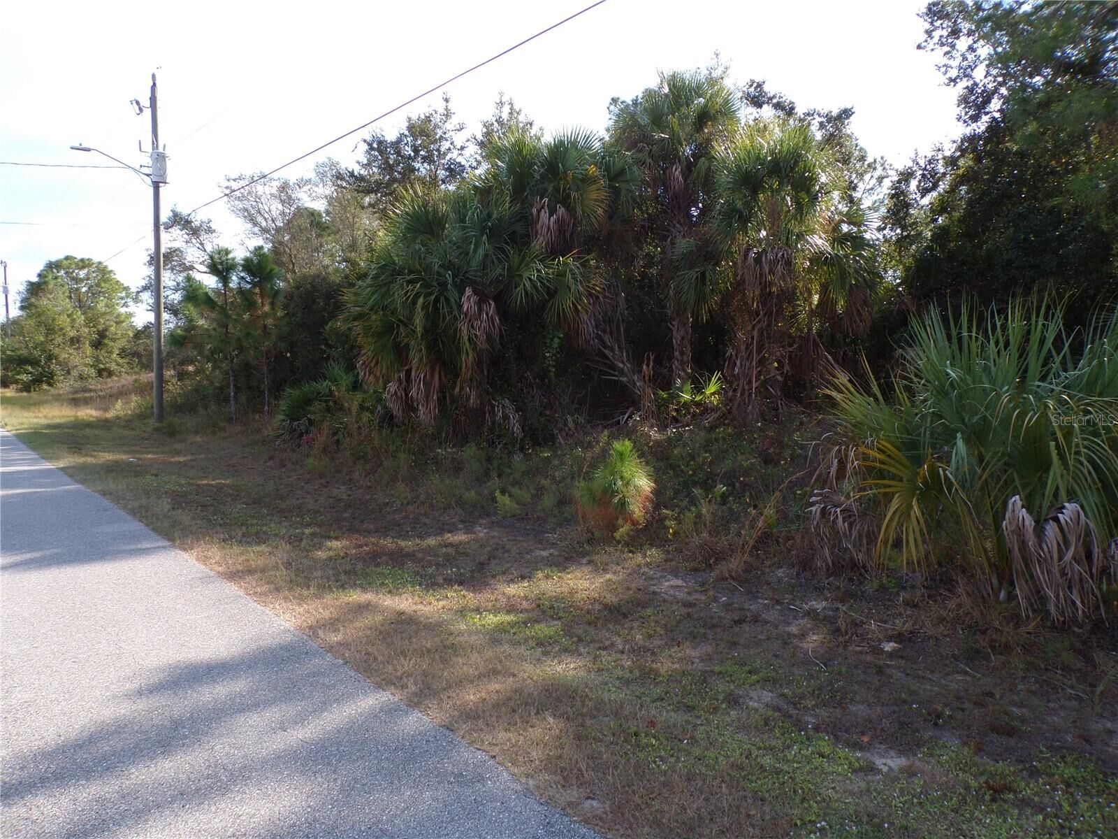 Property Photo:  Delight Avenue  FL 34288 