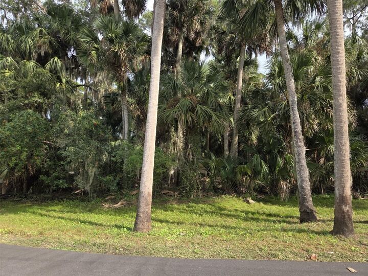 Property Photo: 447 Warrior Trail FL 32725