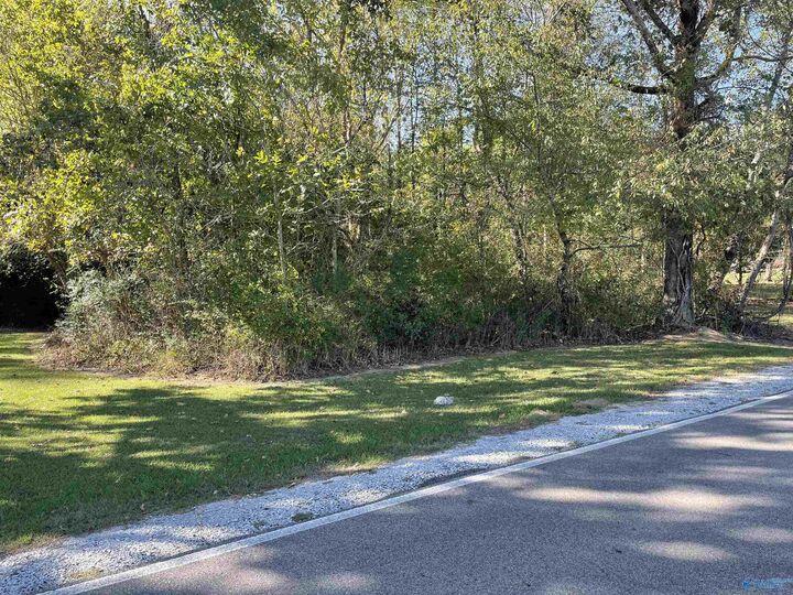 Property Photo:  4A Carter Road  AL 35611 