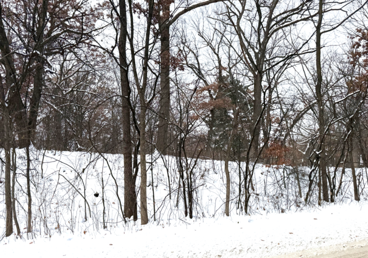 Property Photo: 381 Totem Road MN 55119