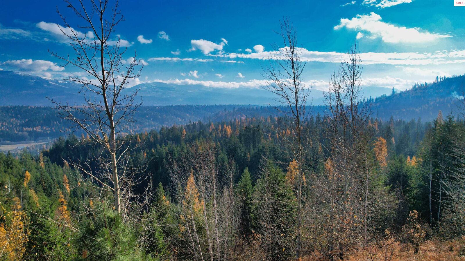 Property Photo: Nna Juniper Lane 20 Acres ID 83847