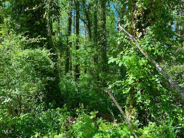 Property Photo:  00 Young Avenue  NC 27536 