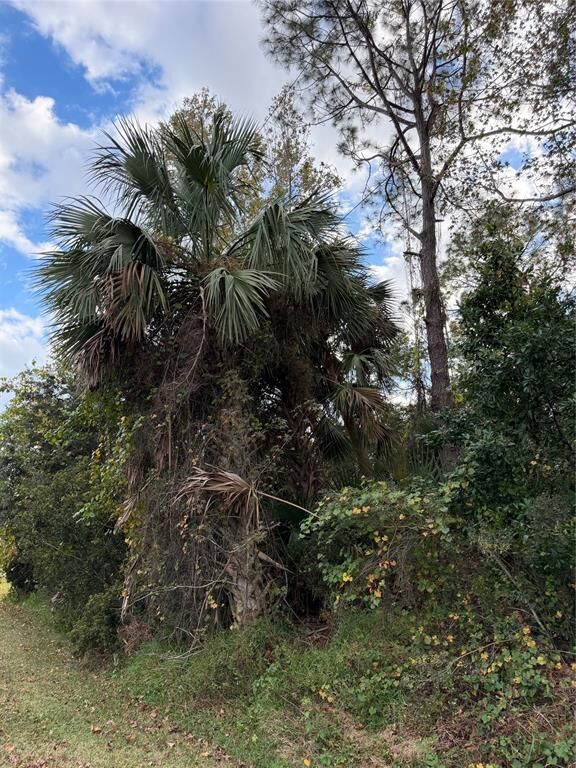 Property Photo:  22 Westglen Lane  FL 32164 