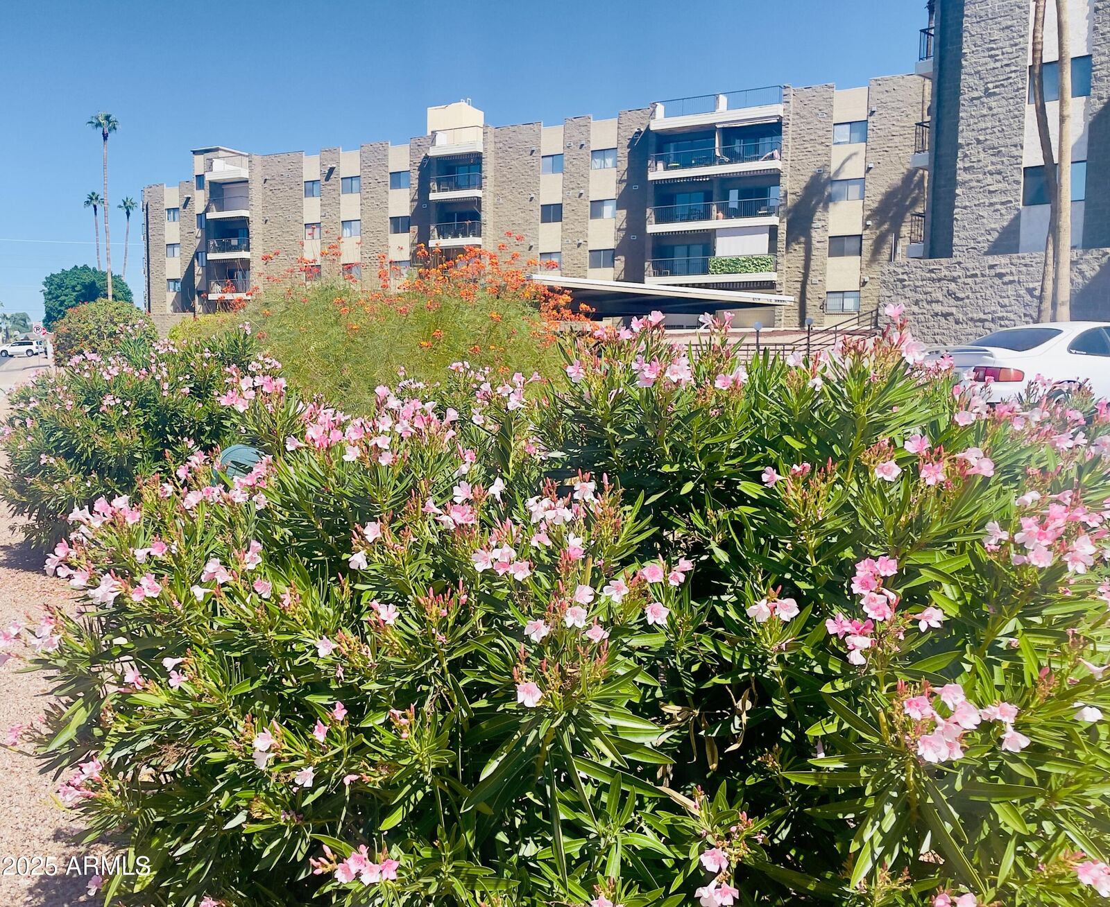 Property Photo:  425 S Parkcrest -- 322  AZ 85206 