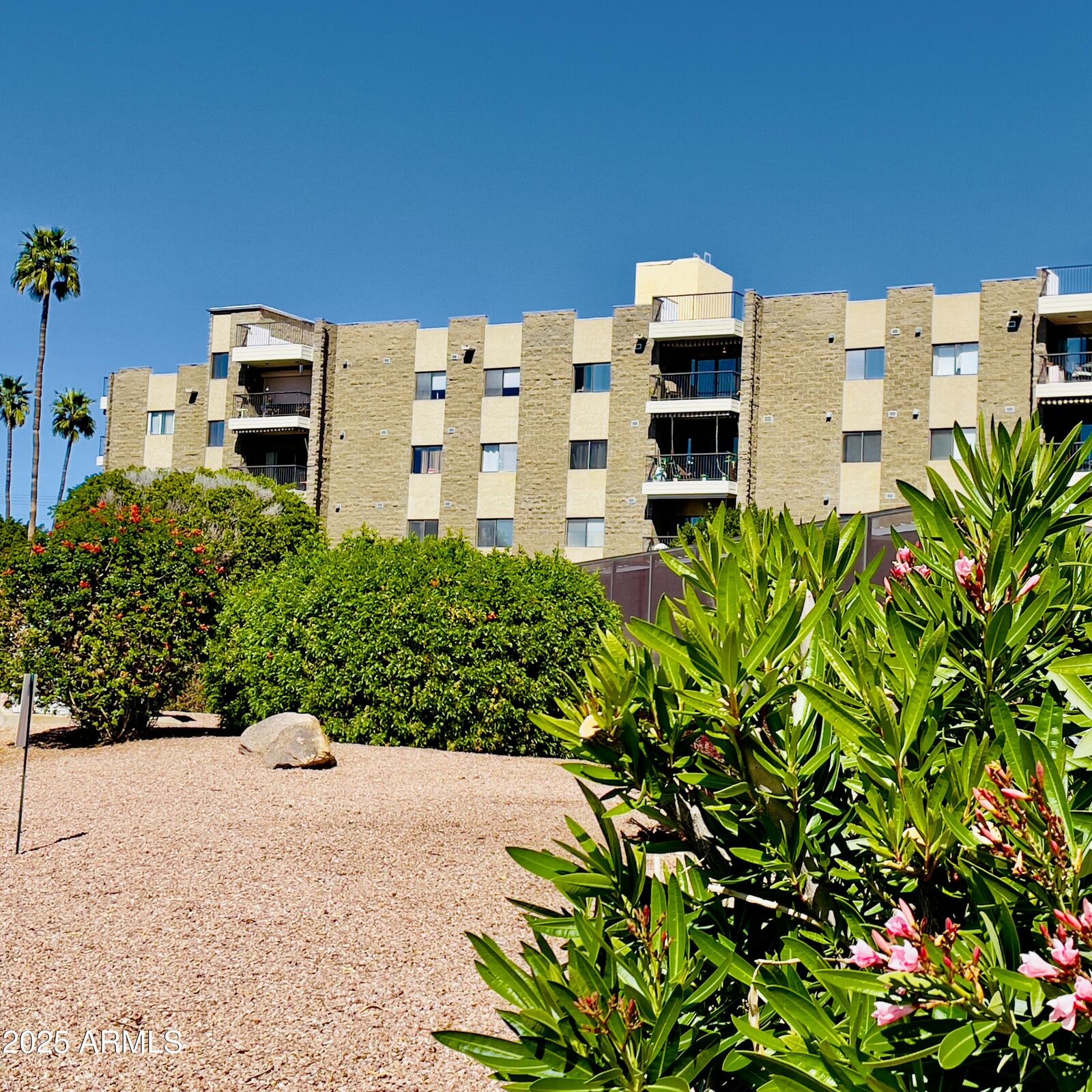 Property Photo:  425 S Parkcrest -- 322  AZ 85206 