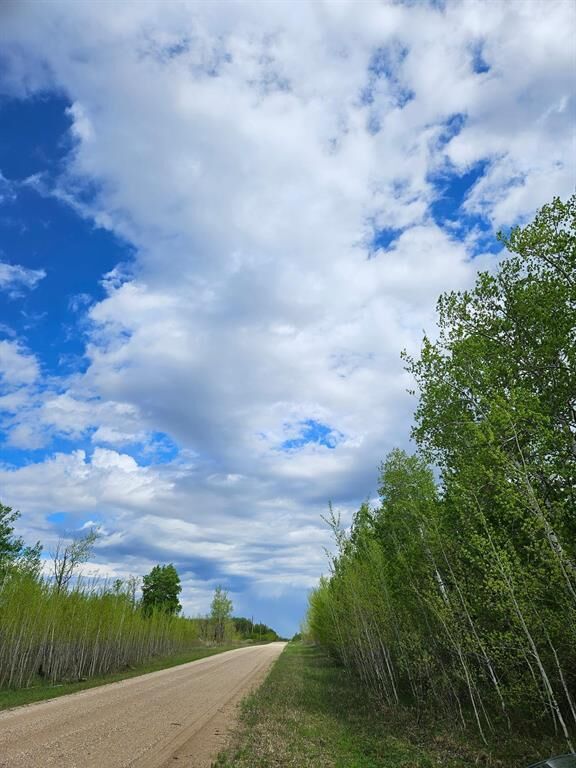 Property Photo:  2 Plan 58928 Emerson-Franklin Mun Road  MB R0C 0A0 