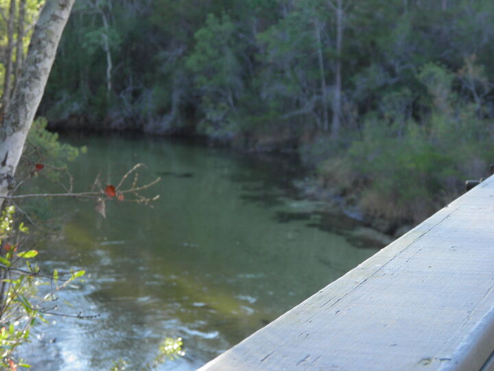 Property Photo: 127 Big Oaks Lane FL 32578