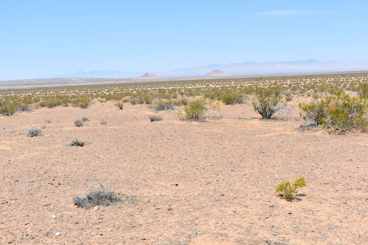 Property Photo:  160th St E And S/O Joshua Blvd  CA 93523 