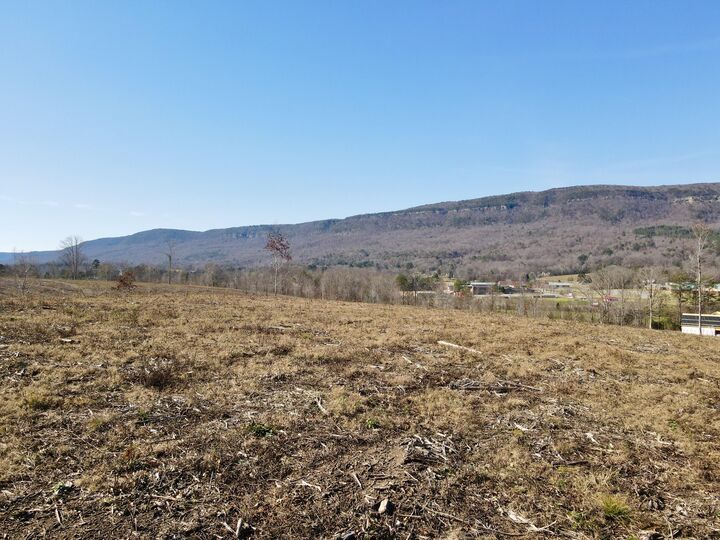 Property Photo:  0 Industrial Pike  TN 37397 