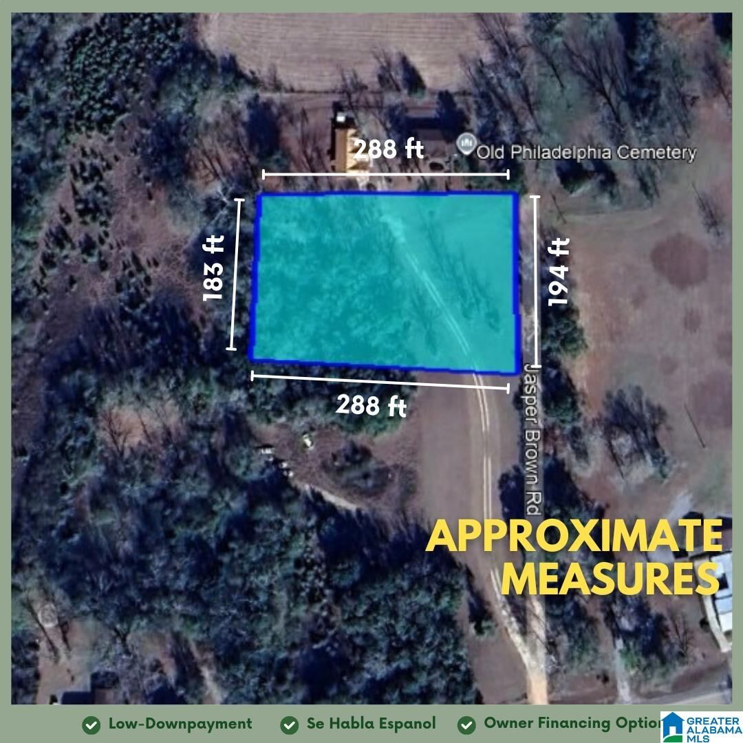 Property Photo: 161 Main Street 0 AL 36370