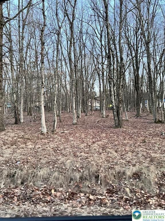 Property Photo:  436 Mountain Road 404  PA 18210 