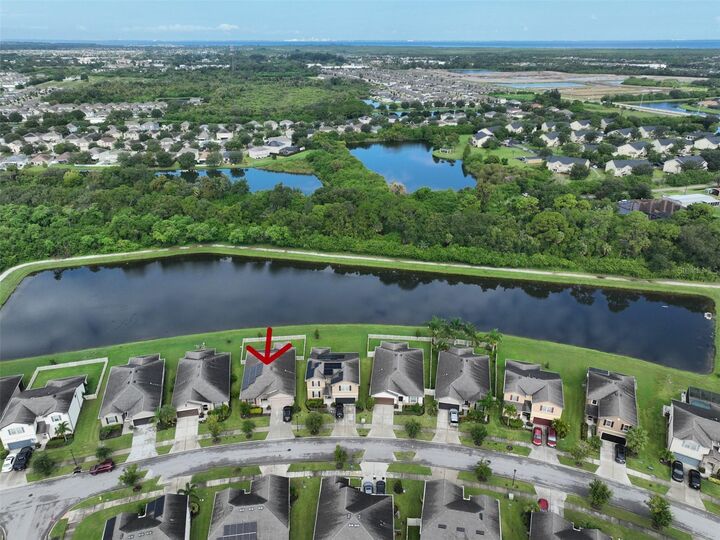 Property Photo:  1606 Cabbage Key Drive  FL 33570 