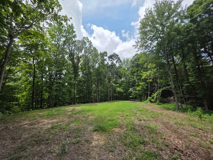 Property Photo: 0 Baggett Hollow TN 37052