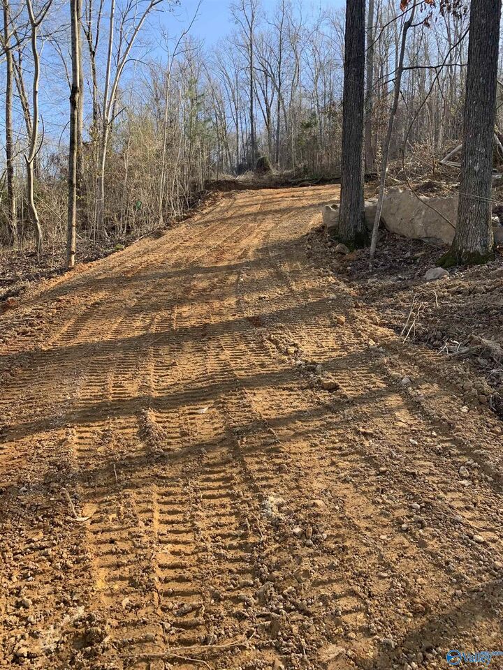 Property Photo:  Lot 22 Snug Harbor Road  AL 35747 
