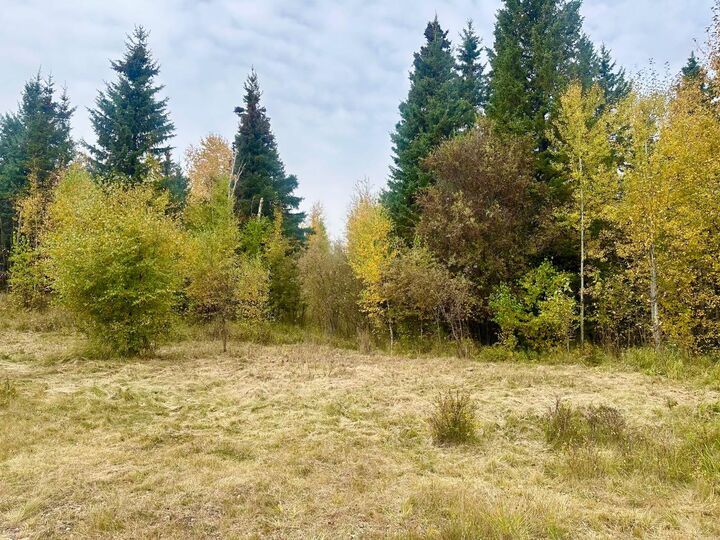 Property Photo: Lot 1 Mountain Springs AB T7S 1N9