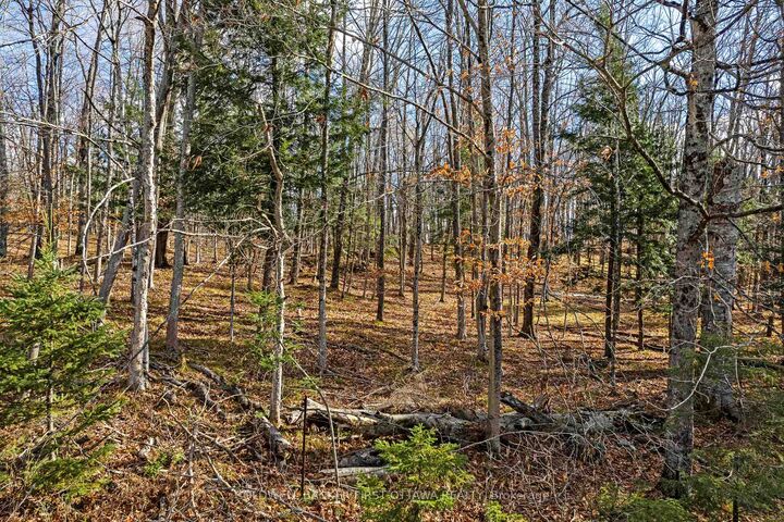 Property Photo: Pt 3-00 Herron Mills Road ON K0G 1K0