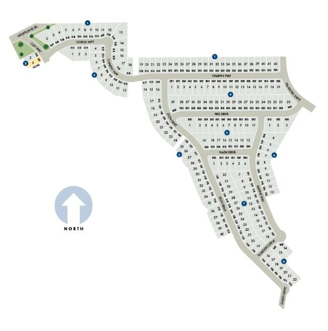 Property Photo:  3007 Nash Drive  TX 78132 