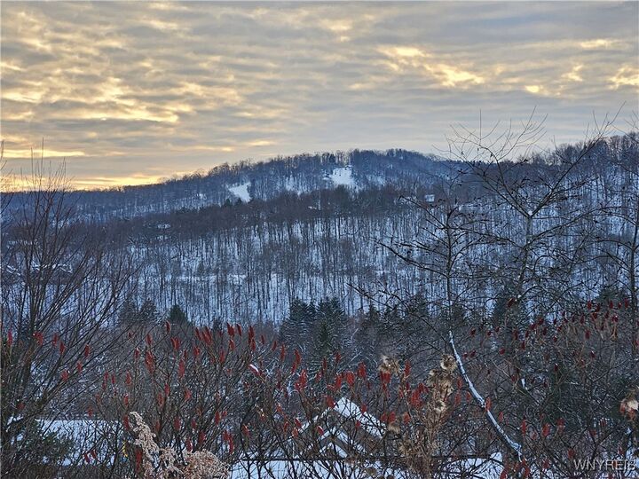 Property Photo:  48 Mill Street  NY 14731 