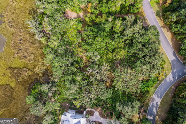 Property Photo: 0 Becket Road GA 31558