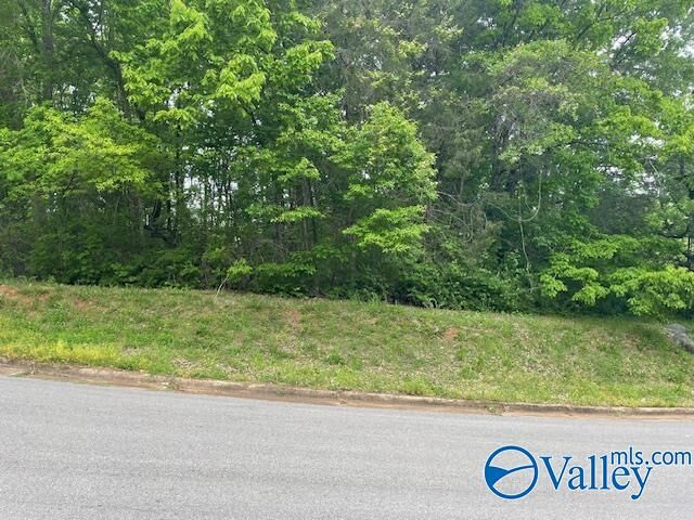 Property Photo: 4000 Juniper Drive AL 35810