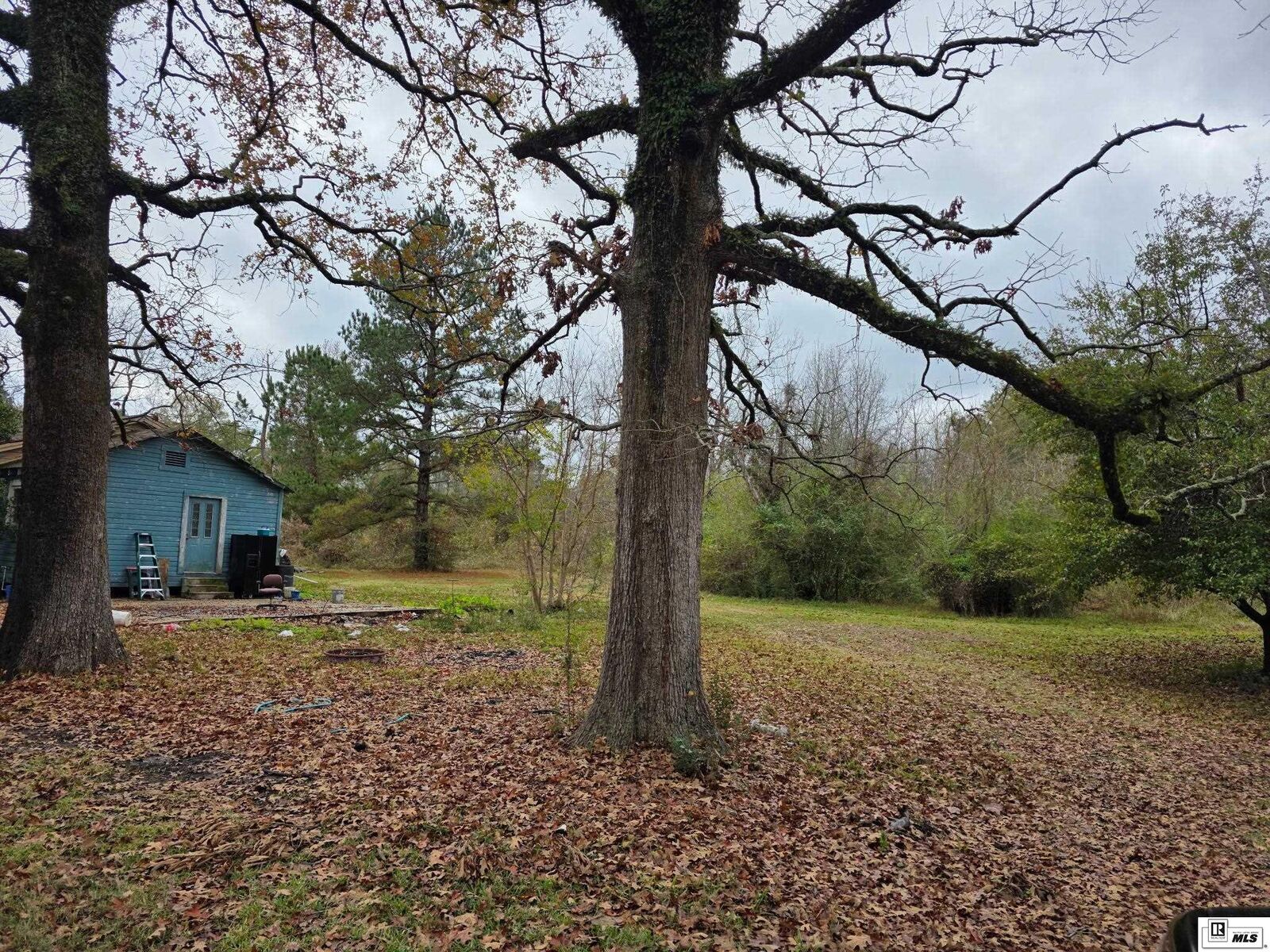 Property Photo: 2104 Red Cut Road LA 71292