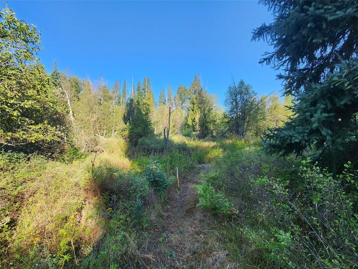 Property Photo: 174 Double Creek Lane MT 59935