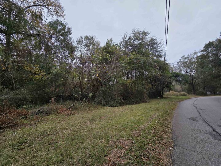 Property Photo:  1485 Dogwood Dr  TX 77662 