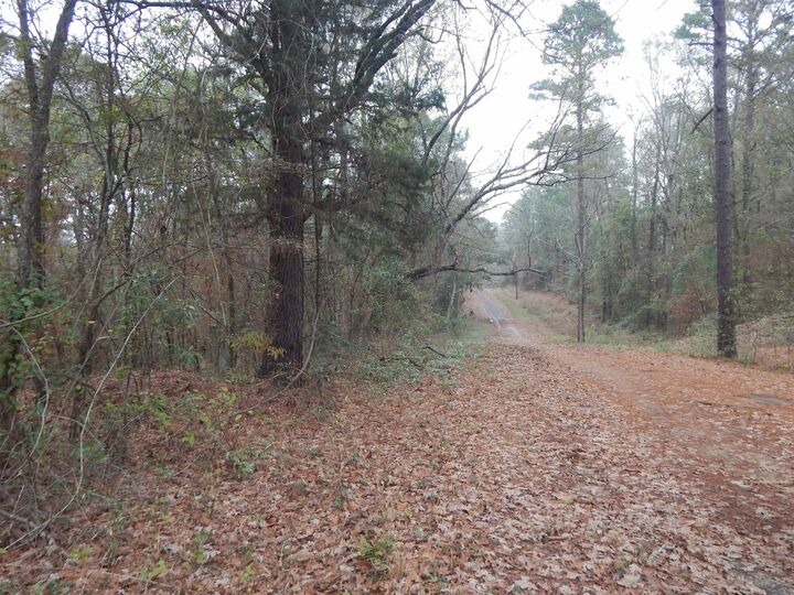 Property Photo:  Tbd Ashwood  TX 75645 