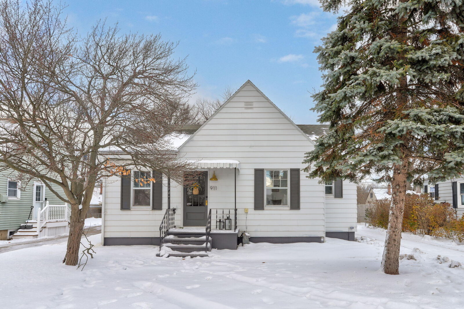 Property Photo:  911 Napier Avenue  MI 49085 