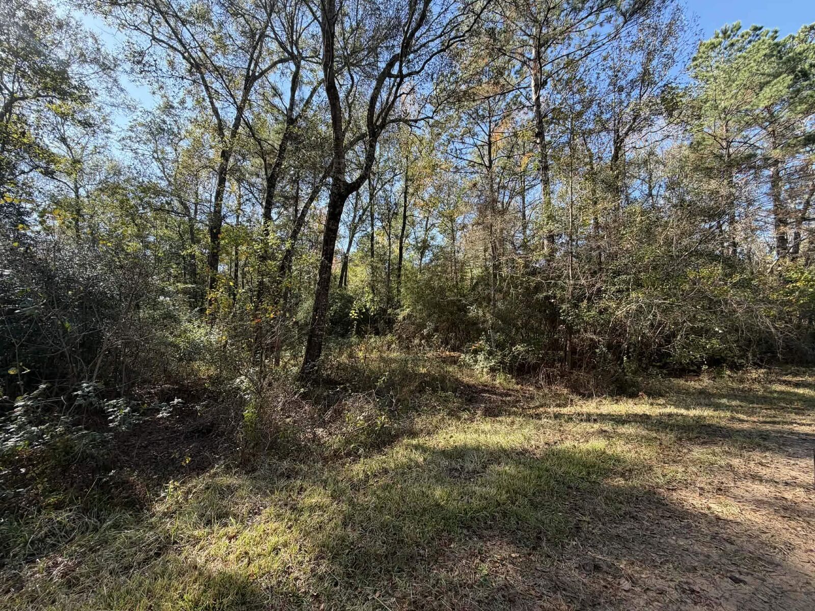 Property Photo: Lot 8A Private Road 2055 TX 77564