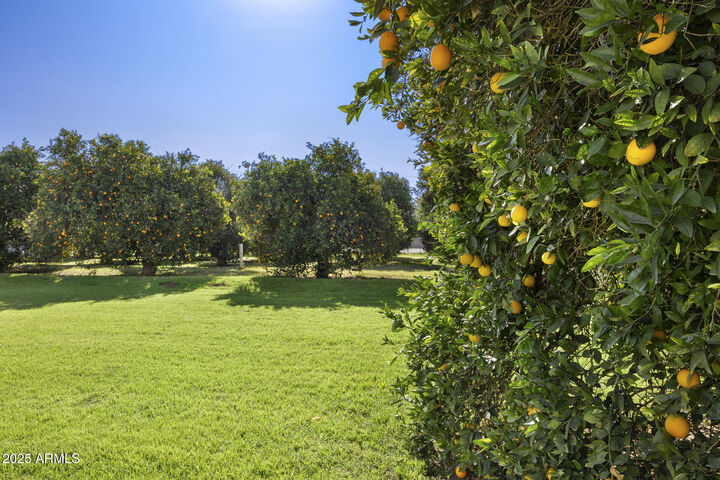 Property Photo:  17525 E Regal Drive  AZ 85142 