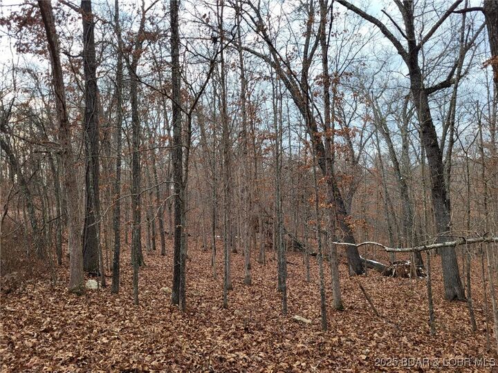 Property Photo: Dunn Drive 1331 MO 65326