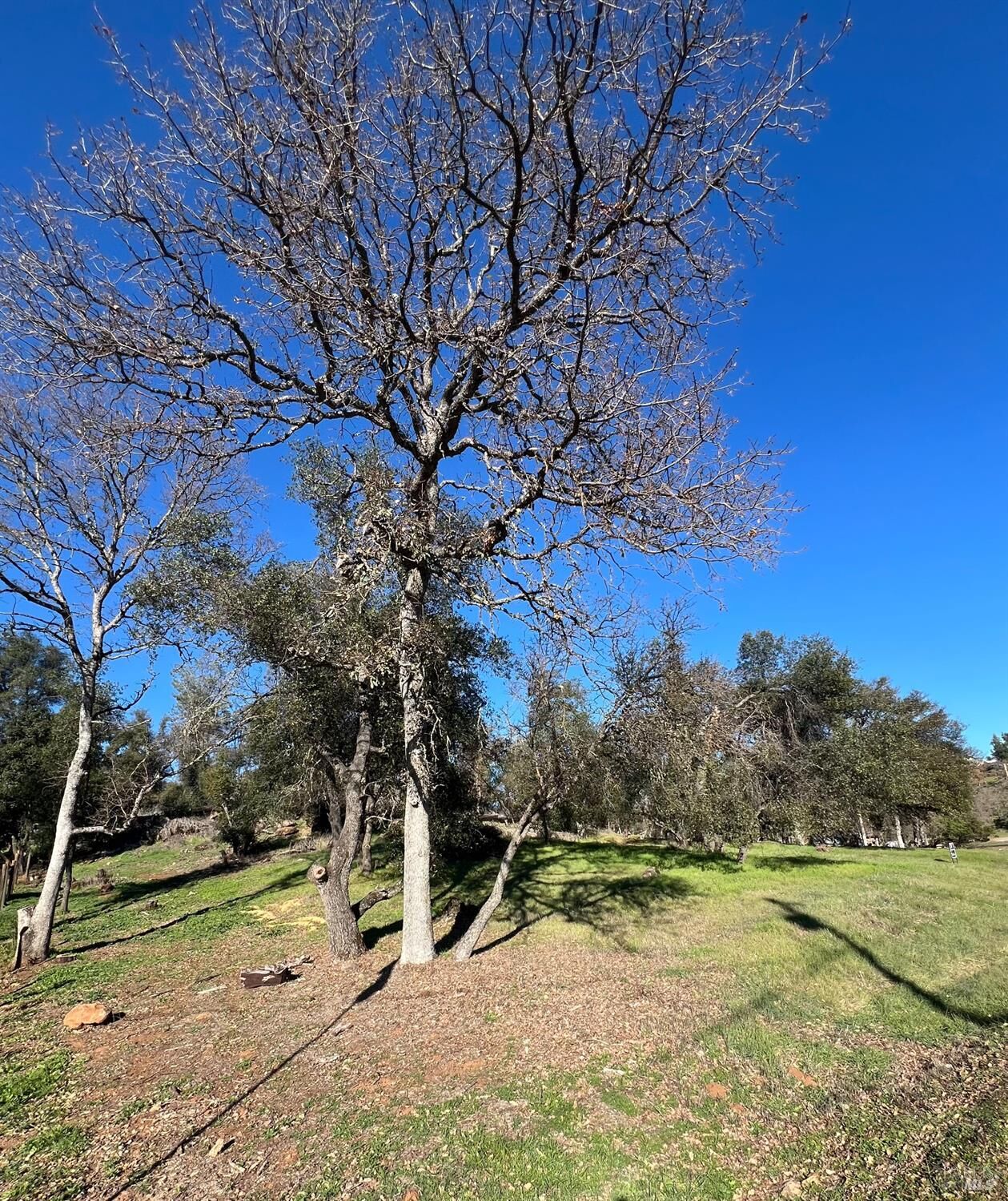 Property Photo: 20393 Powder Horn Road CA 95467