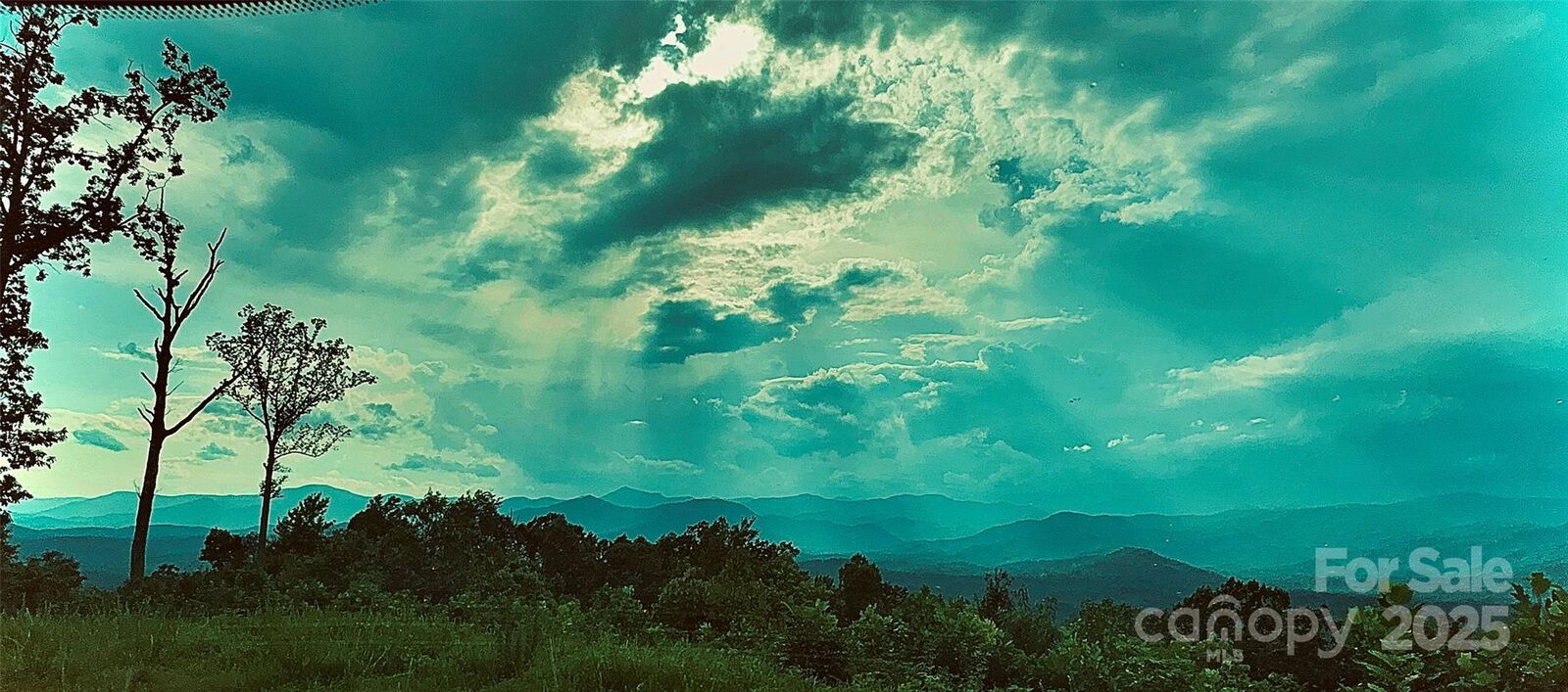 Property Photo: 0 The Falls Road NC 28167