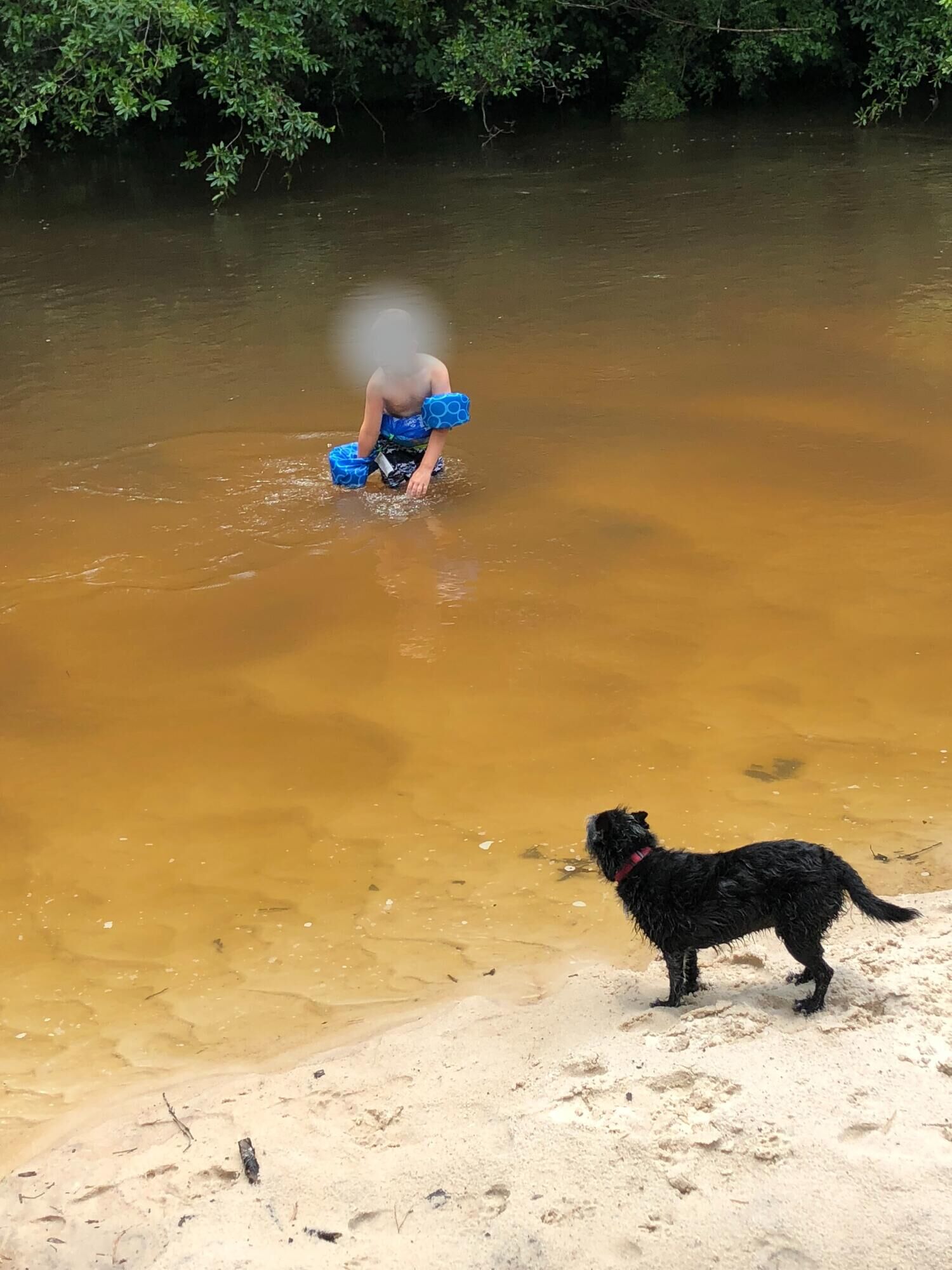 Property Photo: Parcel 1 Sunburst Drive FL 32539