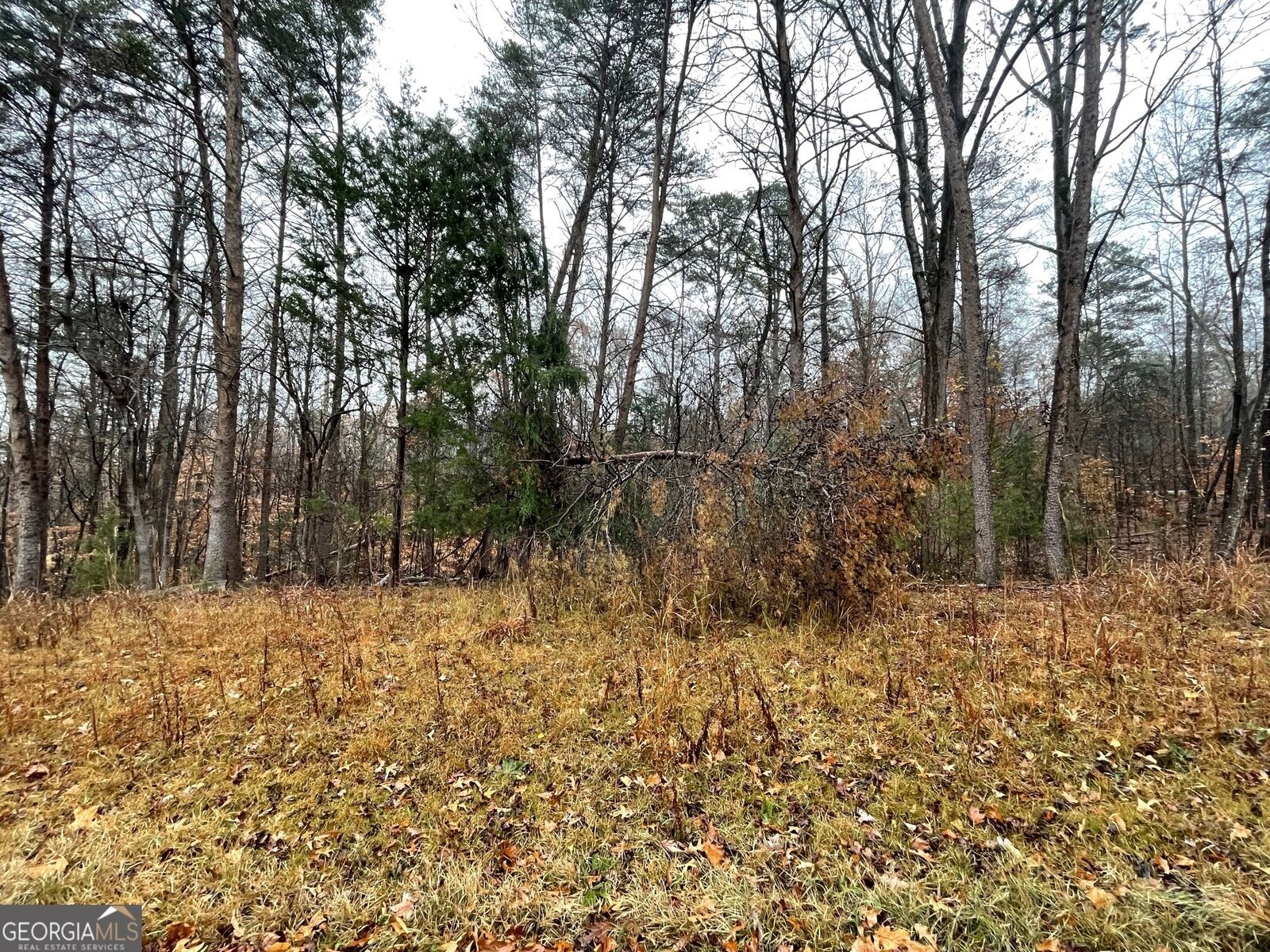 Property Photo:  0 Nicklaus Drive Lot 851  SC 29693 