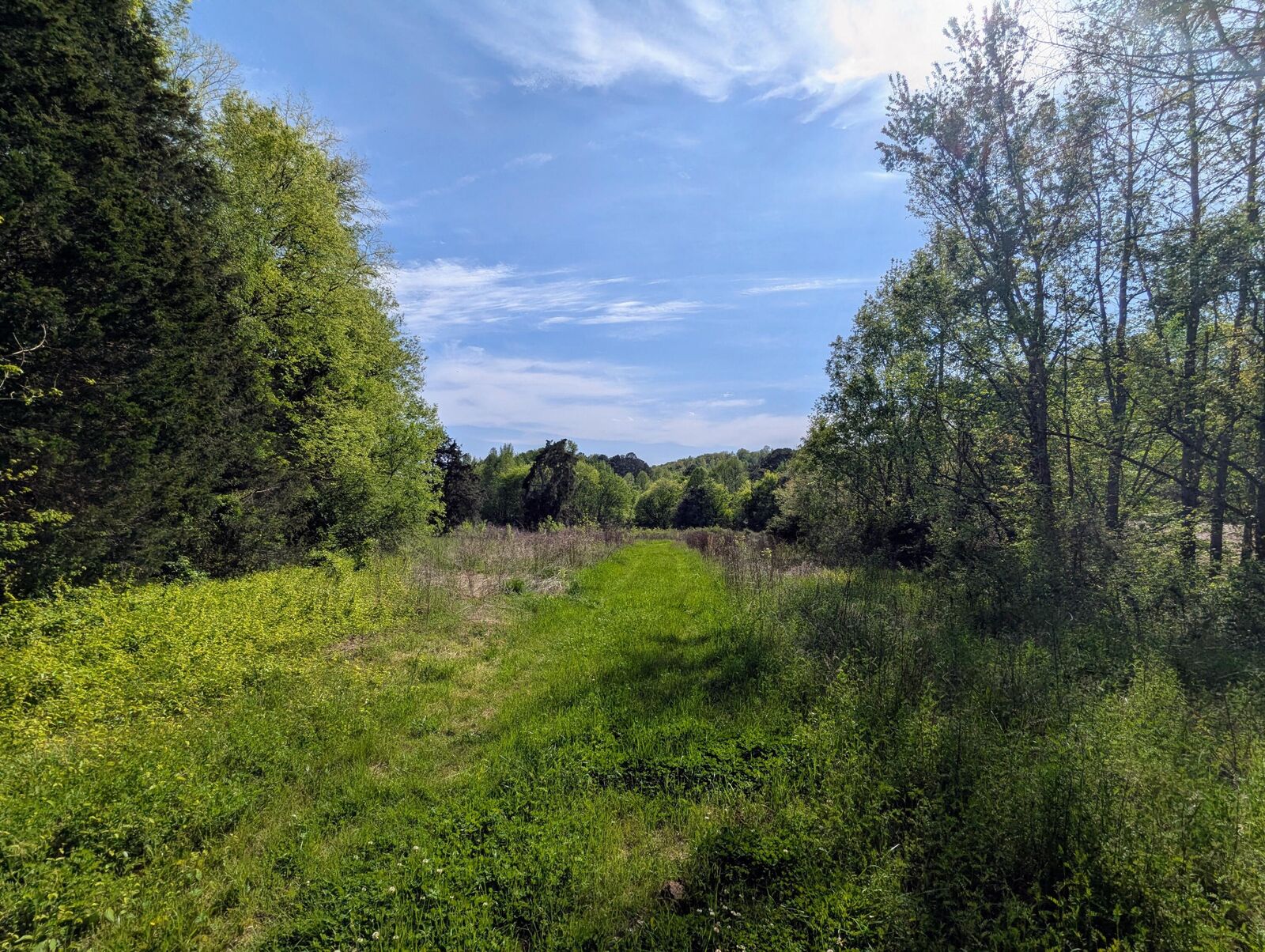 Property Photo: 00 Ladd Springs Road TN 37362