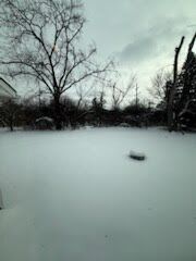 Property Photo: 1421 Lawrence Cres Road IL 60422