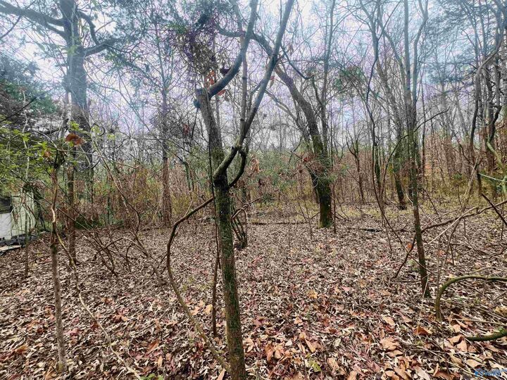Property Photo: 1 Acre Whitman Circle NE AL 35811
