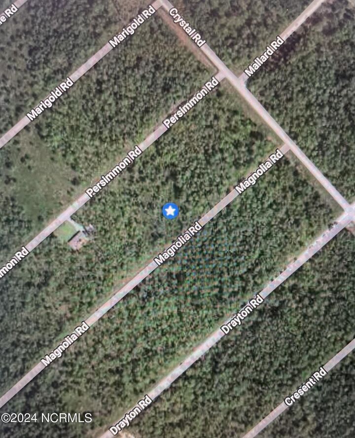 Property Photo:  322 323 Magnolia Road Road Lot #322  NC 28461 