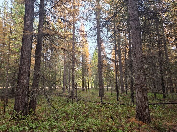 Property Photo:  Nhn Mt Hwy 200  MT 59874 