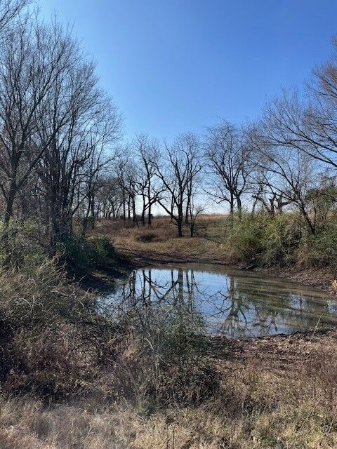 Property Photo: W County Line Road AR 72762