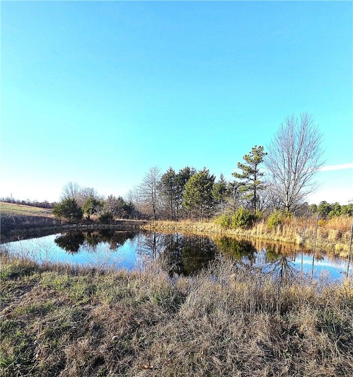 Property Photo:  Driftwood Drive  AR 72675 